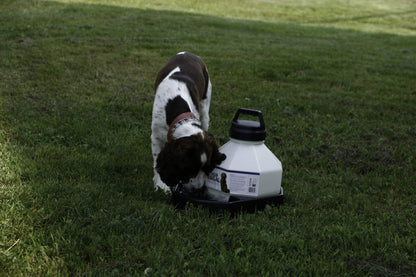 3 Gallon Travel Dog Waterer Portable Pet Dispenser