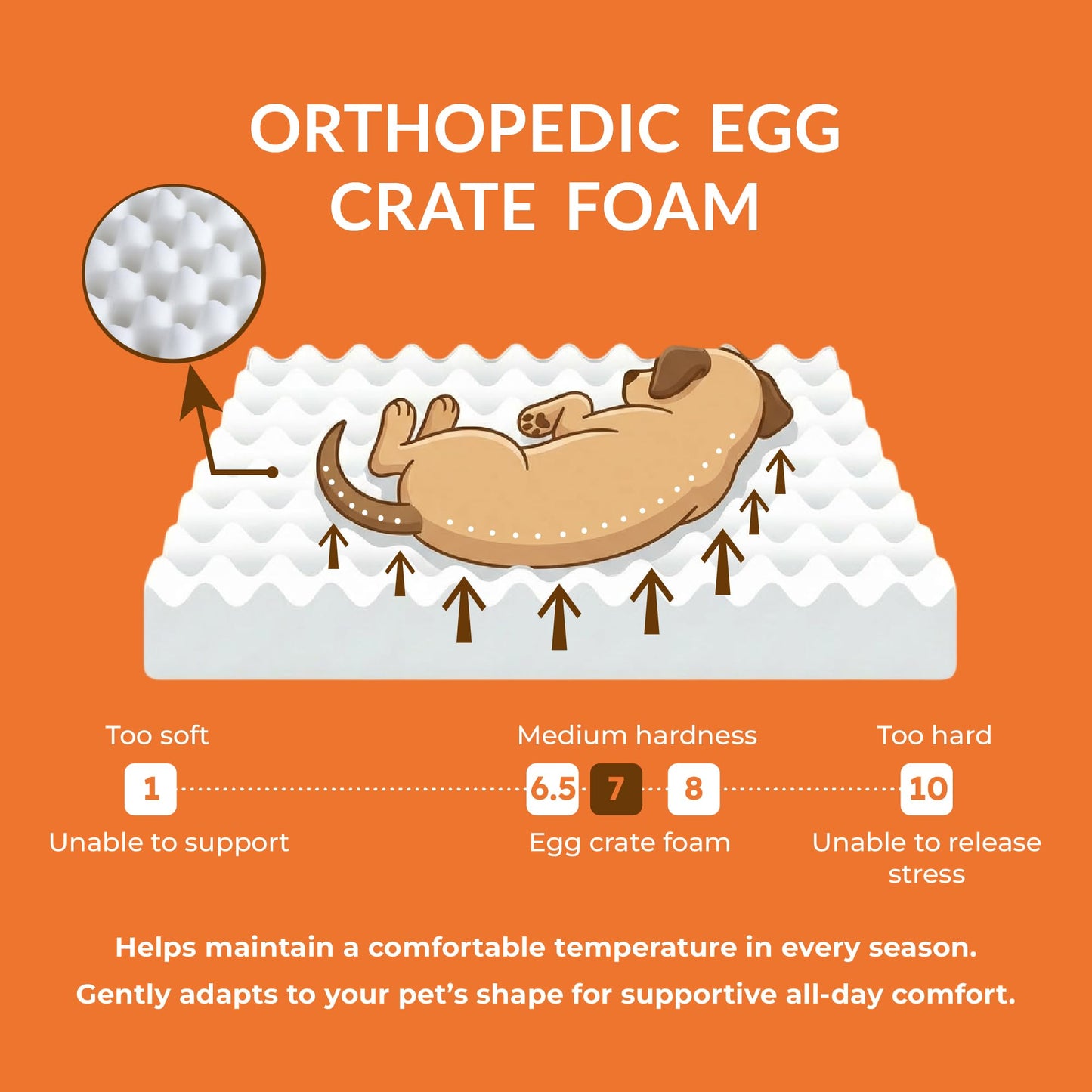 Wood Elevated Dog Bed Frame and Egg Crate Foam Mattress