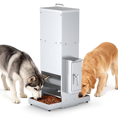 Extra Large Automatic Dog Feeder