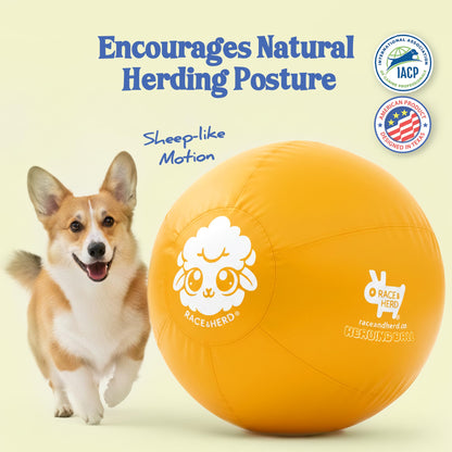 Race&Herd Herding Ball Parentage