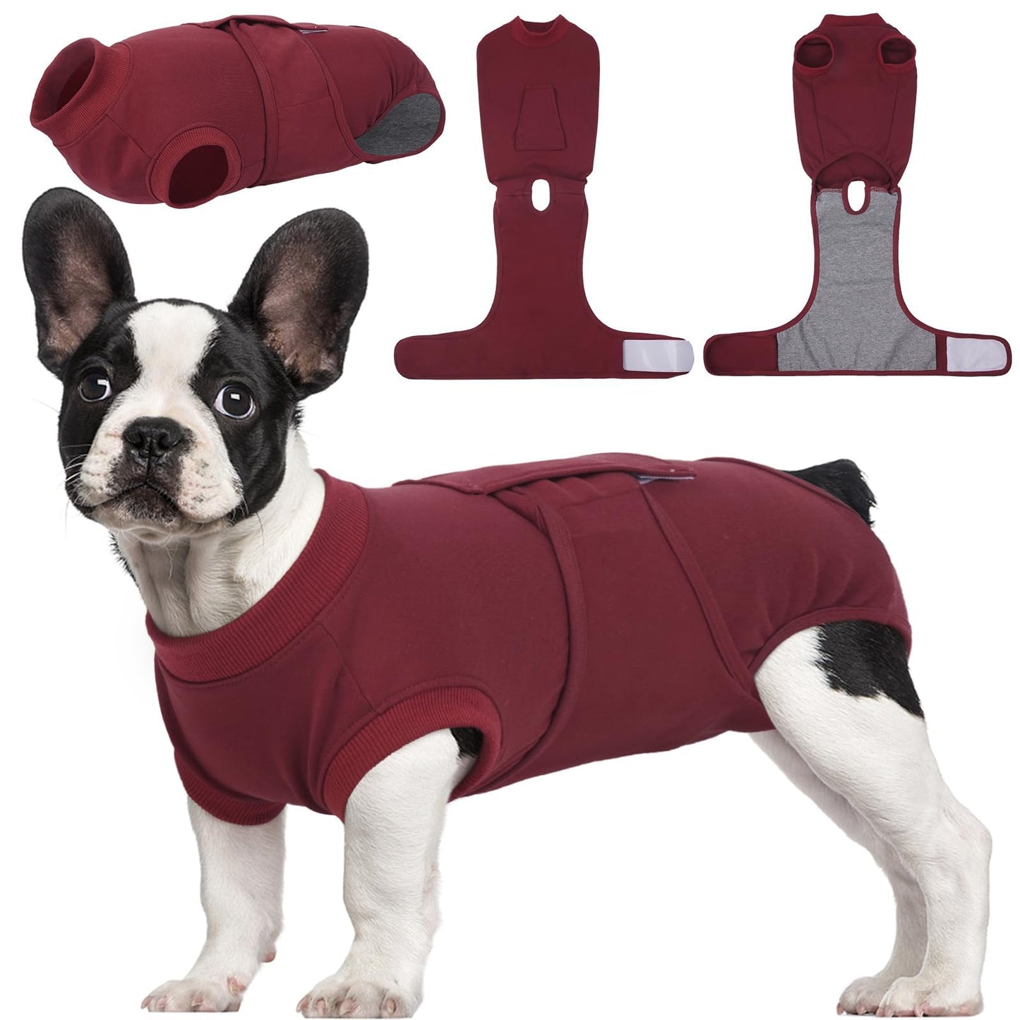 Dog Recovery Suit Post Surgery Anti Licking Onesie
