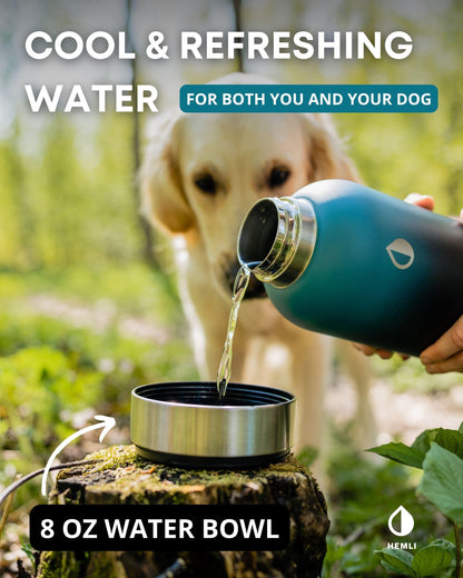 Stainless Steel Dog Travel Water Bottle Bowl Set Portable