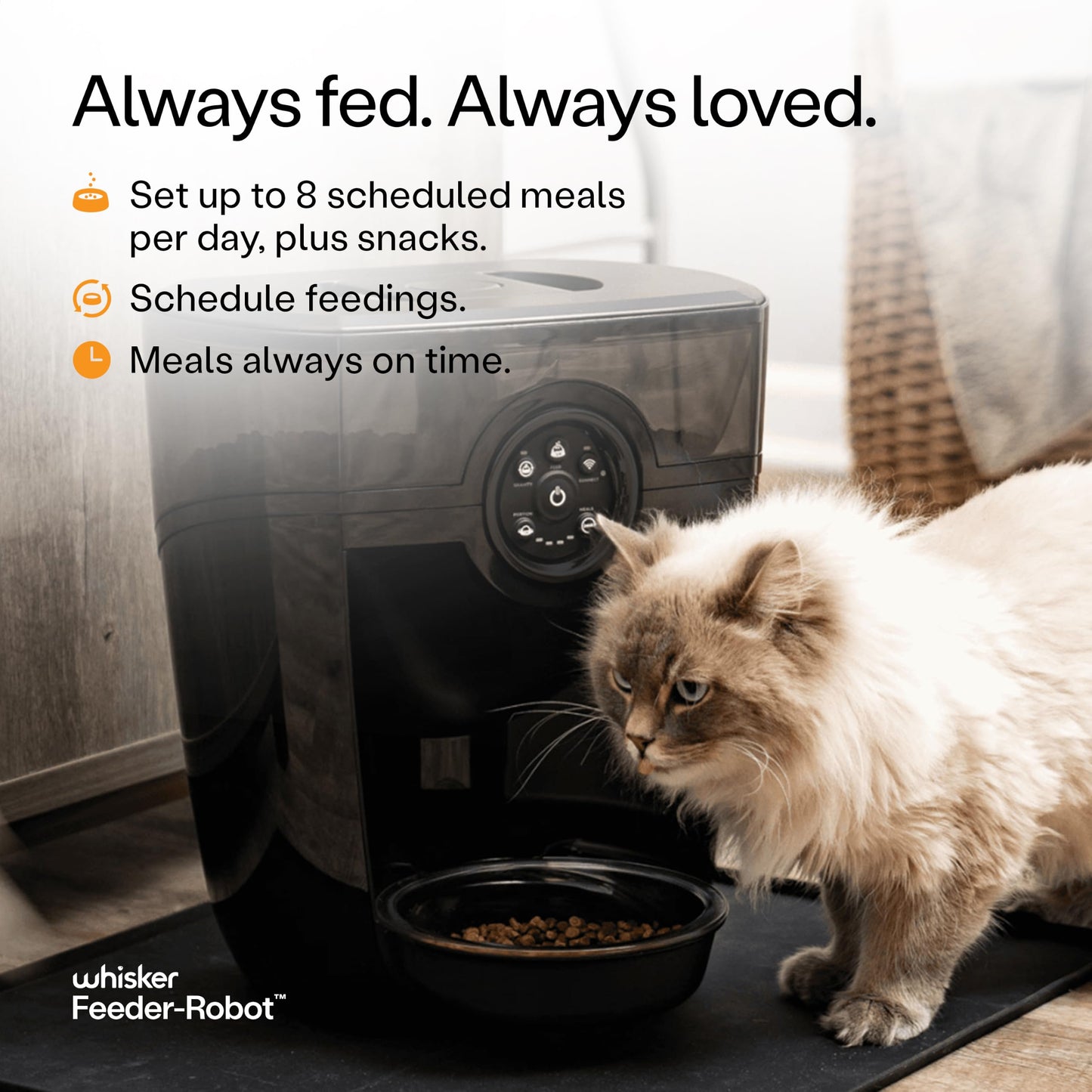 Smart Automatic Pet Feeder WiFi App Control