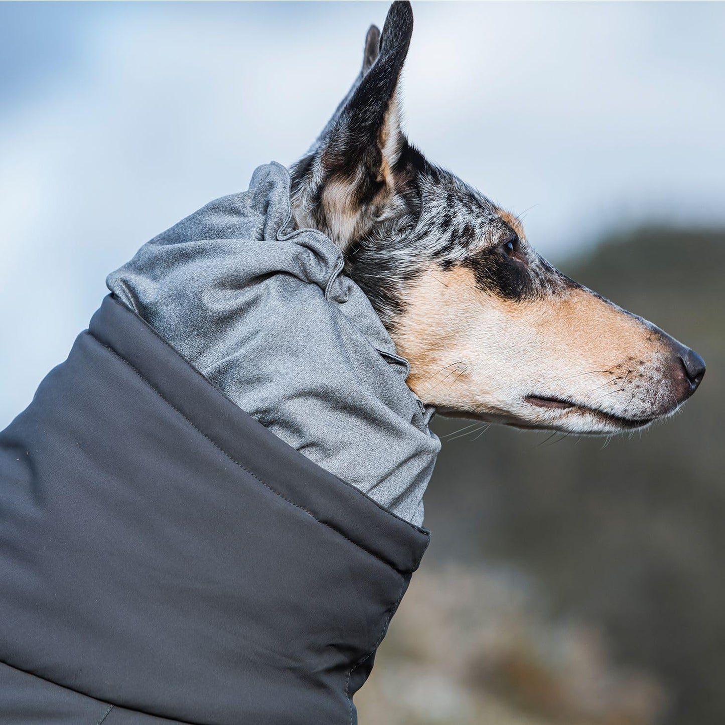 Extreme Winter Dog Parka Cold Weather Coat