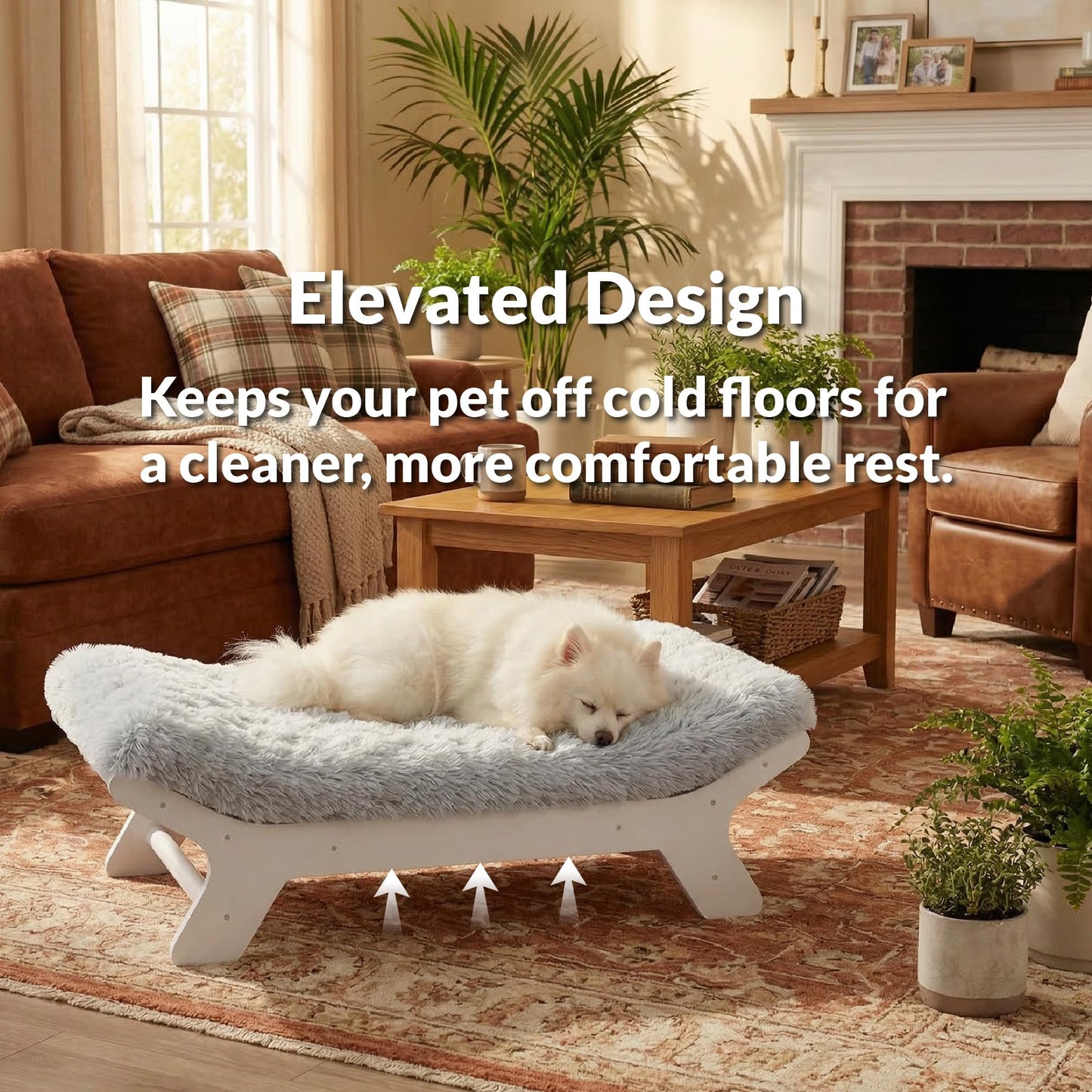 Wood Elevated Dog Bed Frame and Egg Crate Foam Mattress