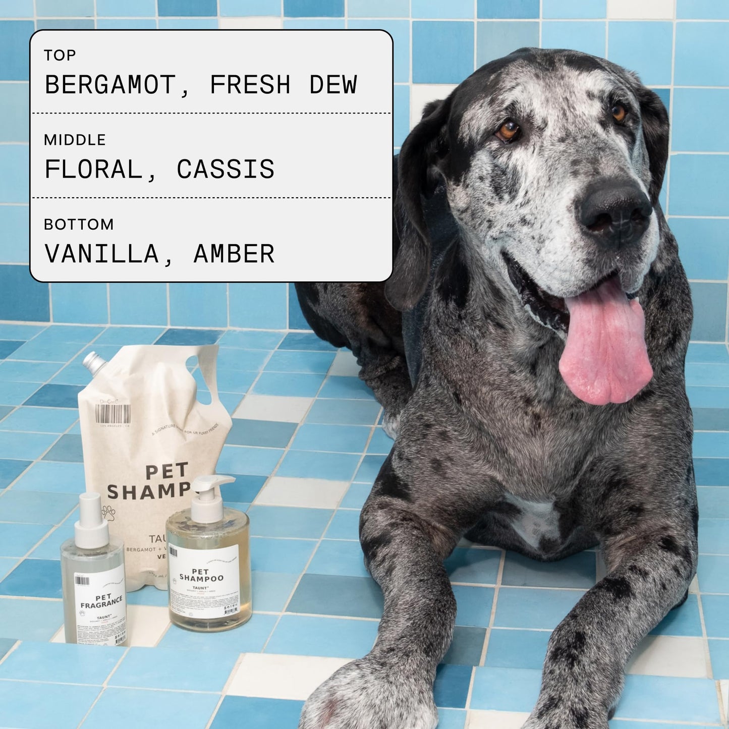 Pet Shampoo Gentle Clean Coat Care