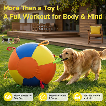 Dog Herding Ball Outdoor Training Toy
