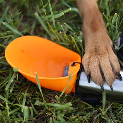 Insulated Stainless Steel Dog Water Bottle with Flip Bowl