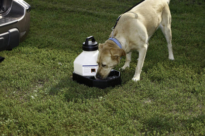 3 Gallon Travel Dog Waterer Portable Pet Dispenser