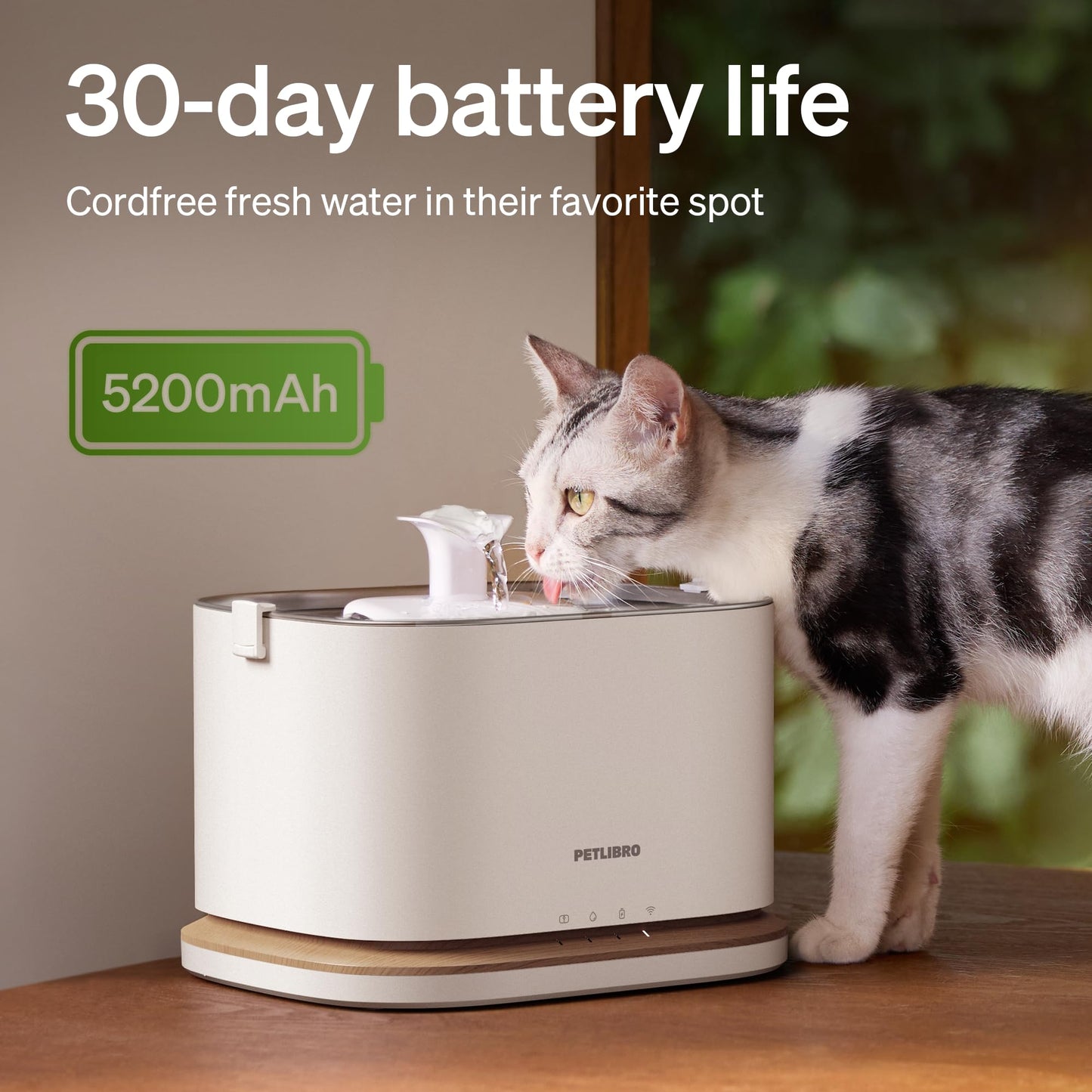 Cordless Cat Water Fountain WiFi App 3L Stainless Steel