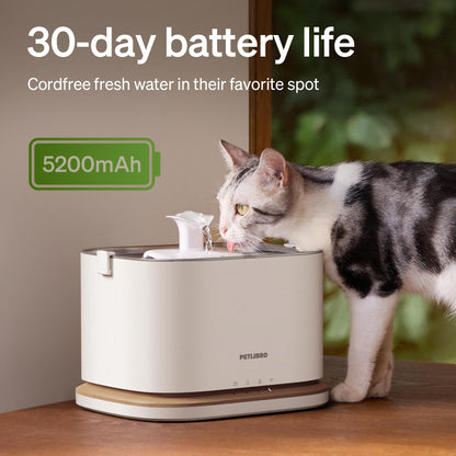 Cordless Cat Water Fountain WiFi App 3L Stainless Steel