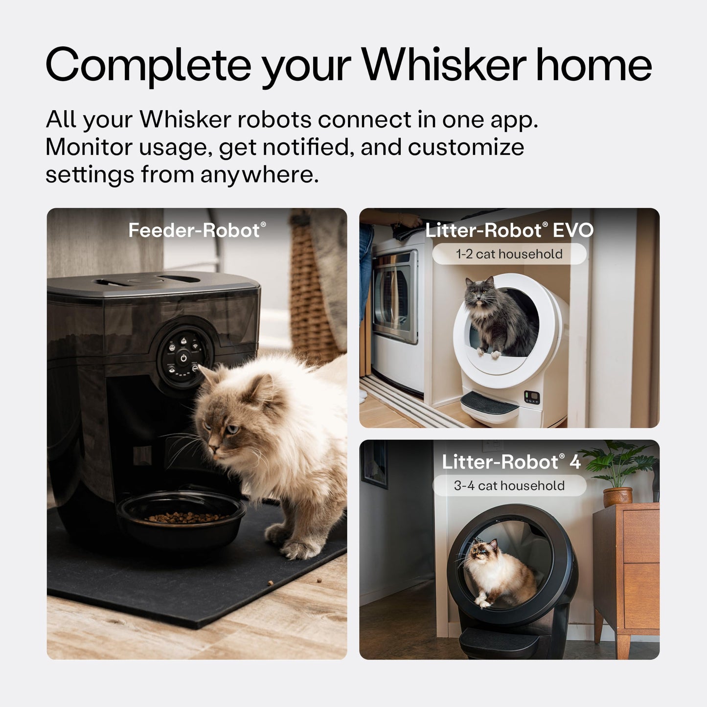 Smart Automatic Pet Feeder WiFi App Control