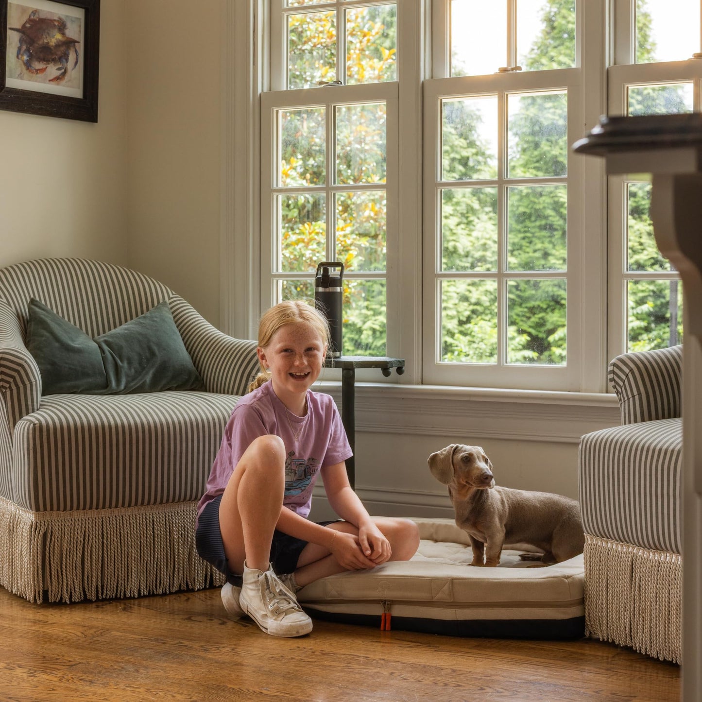 Orthopedic Memory Foam Dog Bed Bolster Washable Non Slip