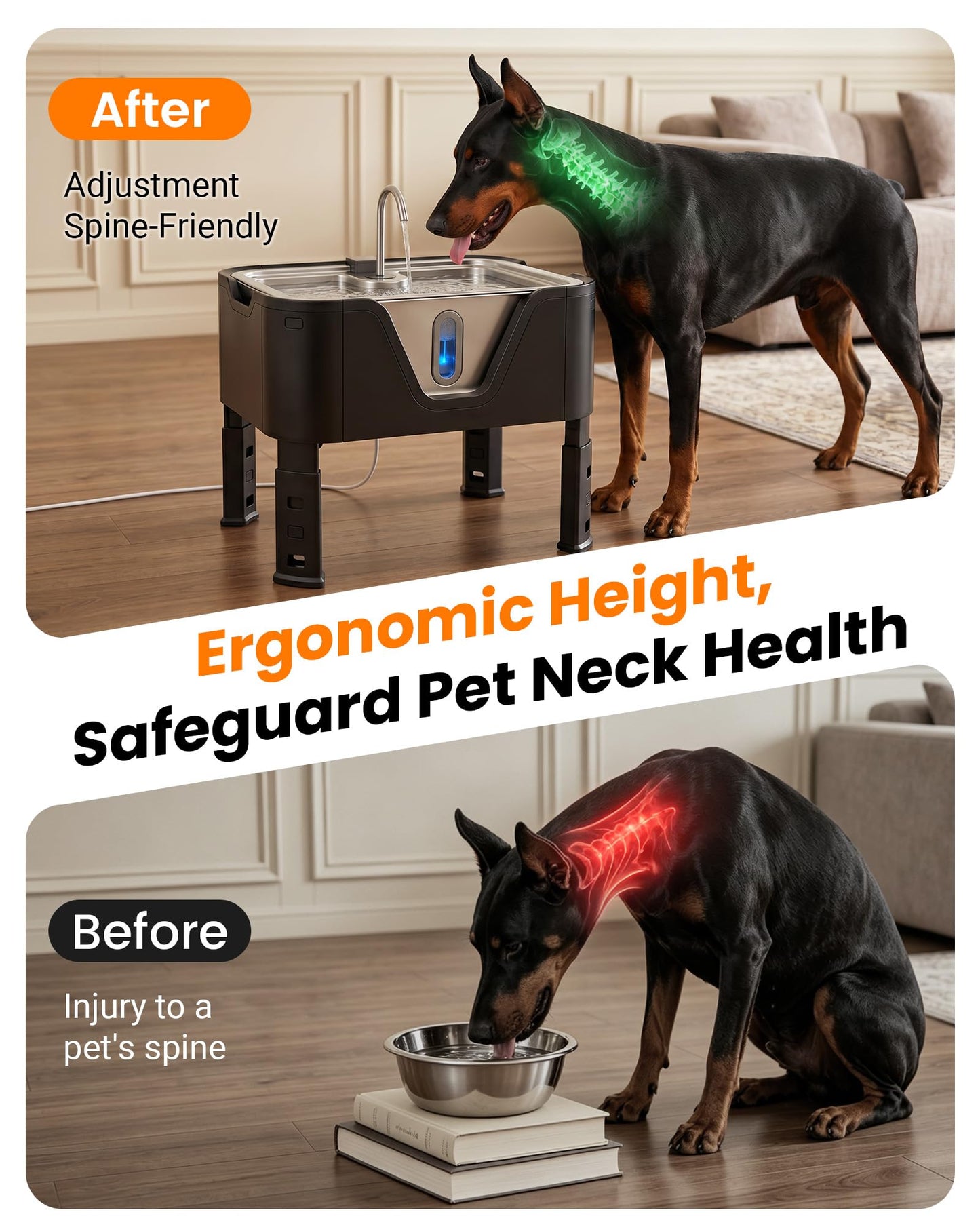 4.75Gal Elevated Large Dog Water Fountain