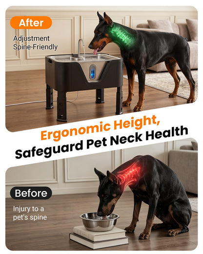 4.75Gal Elevated Large Dog Water Fountain