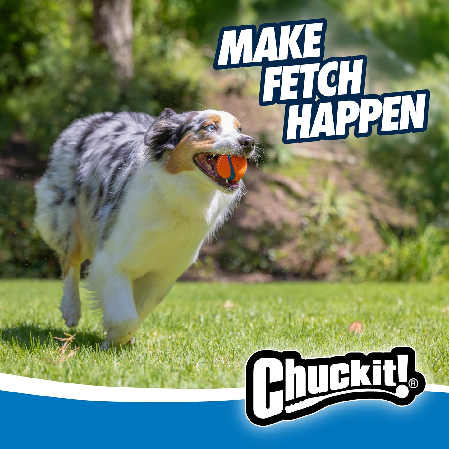 Dog Fetch Ball Launcher Ultra Indoor Toy