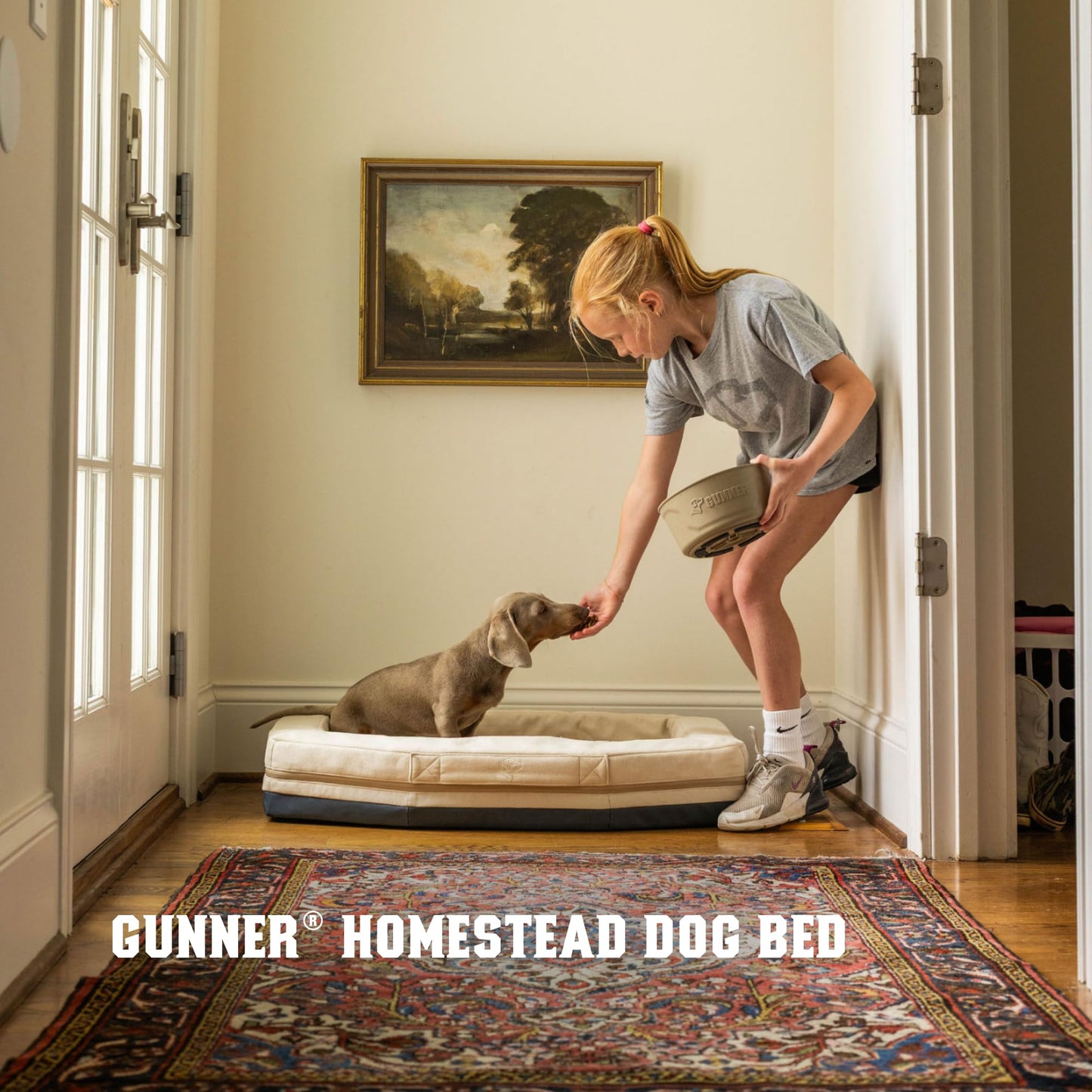 Orthopedic Memory Foam Dog Bed Bolster Washable Non Slip