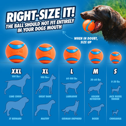 Dog Fetch Ball Launcher Ultra Indoor Toy