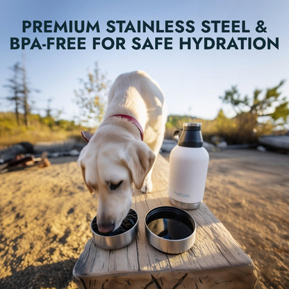 Insulated Portable Dog Water Bottle with Bowl Set