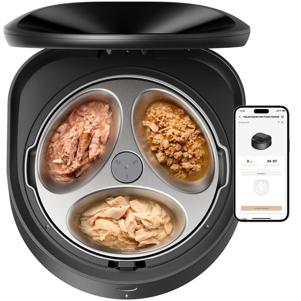 Refrigerated Automatic Wet Food Cat Feeder