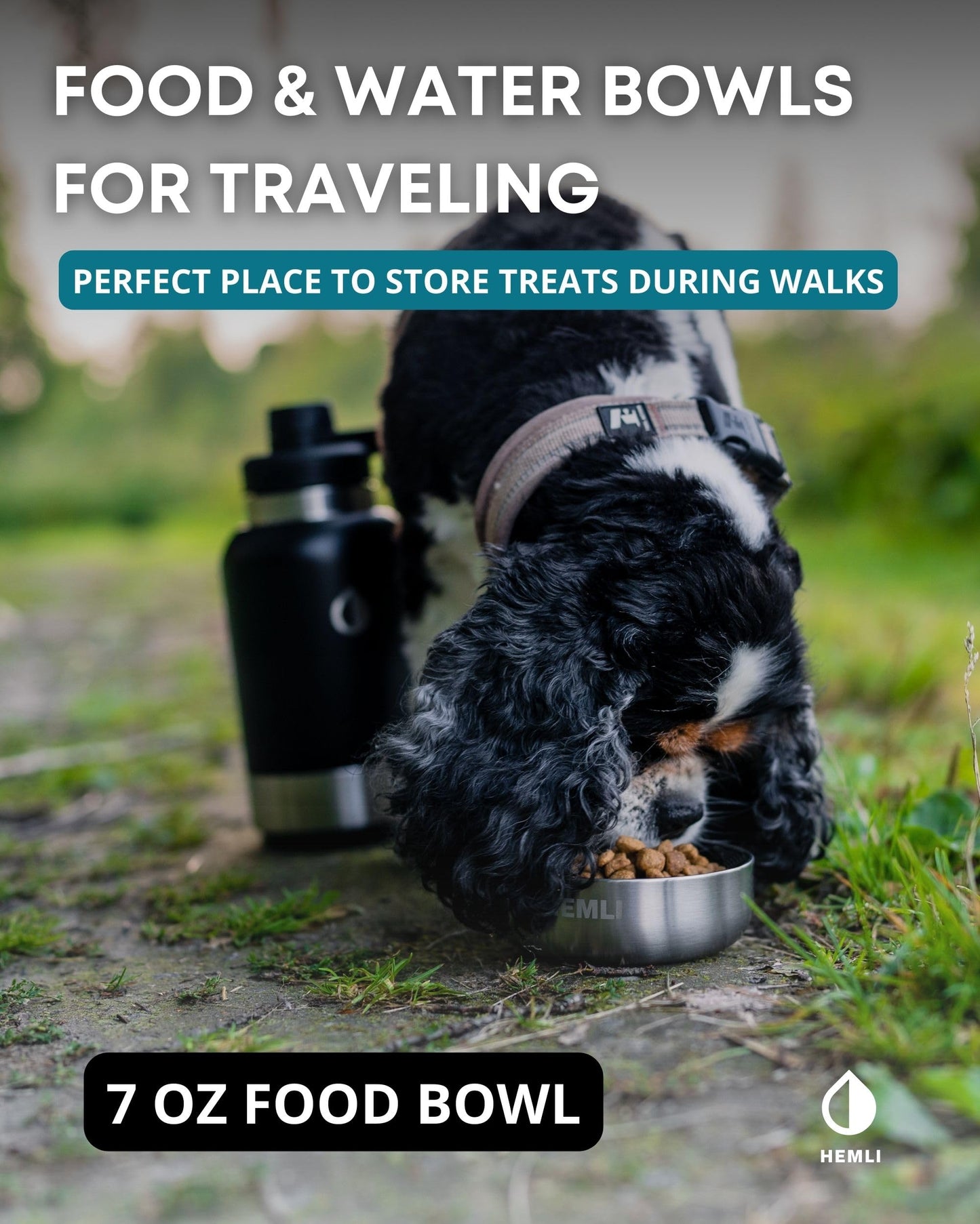 Stainless Steel Dog Travel Water Bottle Bowl Set Portable