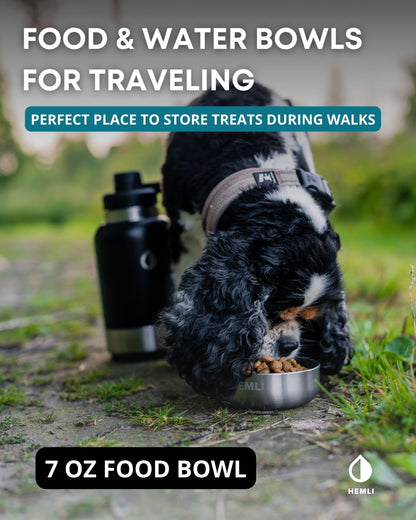 Stainless Steel Dog Travel Water Bottle Bowl Set Portable