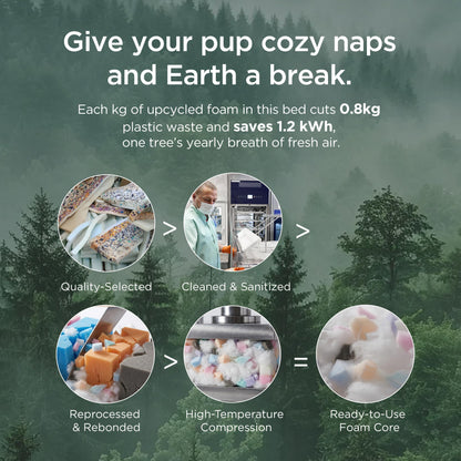 Orthopedic Large Dog Bed Extra Thick Waterproof Plush