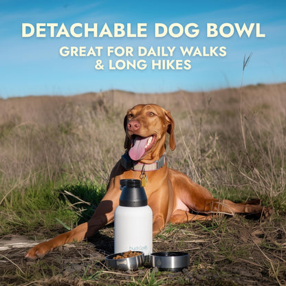 Insulated Portable Dog Water Bottle with Bowl Set