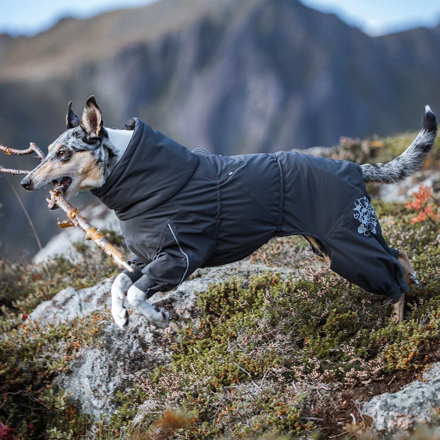 Extreme Winter Dog Parka Cold Weather Coat