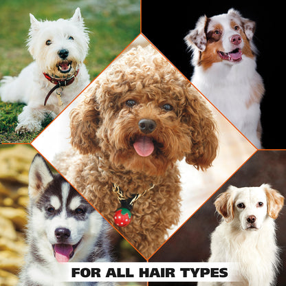 Oatmeal Dog Shampoo Dry Skin Itch Relief Coconut Lime